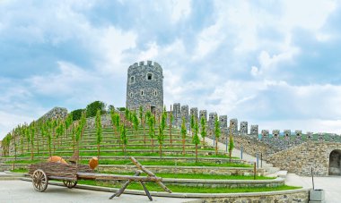 Akhaltsikhe'deki üzüm asmaları