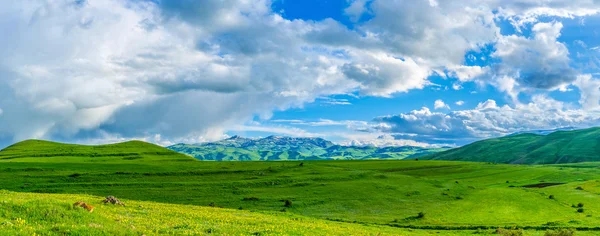 Panorama das terras altas verdes — Fotografia de Stock