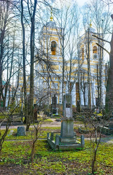 Přes zahradu — Stock fotografie