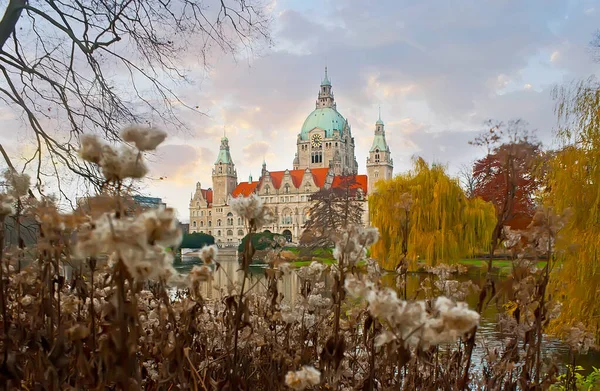 Vue Sur Nouvelle Mairie Travers Les Fleurs Séchées Les Arbres — Photo