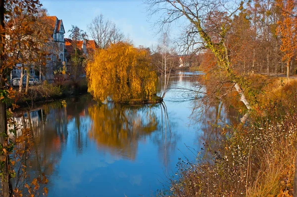 Geniet Van Het Eilandje Met Gouden Klimboom Midden Rivier Innerste — Stockfoto