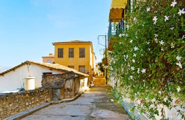 Eski yaşam evleri ve yemyeşil yasemin çalılarıyla dar Zygomala caddesi, Nafplio, Yunanistan