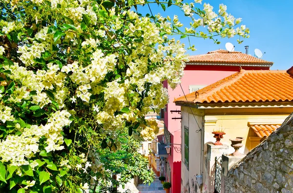 希腊Nafplio Psaromachala区 风景秀丽的古街 有五彩斑斓的房屋 瓷砖屋顶和盛开的花丛 — 图库照片