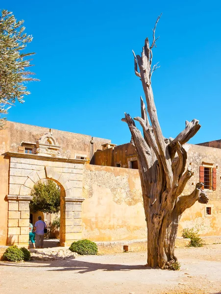 Vieil Arbre Mort Dans Cour Monastère Médiéval Arkadi Moni Arkadiou — Photo