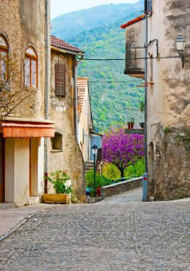Dar sokakları, küçük bahçeleri ve dağ manzarası olan eski kasabayı keşfedin, Corte, Korsika, Fransa
