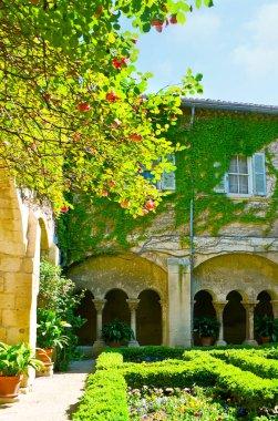 Saint-Paul de Mausole, Saint-Remy-de-Provence, Fransa Manastırı 'nın küçük bir manastırında üzüm, gül ve nonoşlarla dolu yeşil bir bahçe.