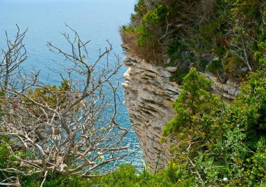Bonifacio 'nun kireçtaşı kayalıkları maquis fundalıkları ve yoğun ağaçlarla kaplıdır.