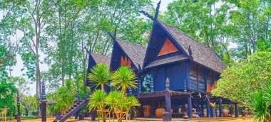 CHIANG RAI, THAILAND - 11 Mayıs 2019: 12 Galae Üçüzleri Panoraması 11 Mayıs 'ta Chiang Rai' de
