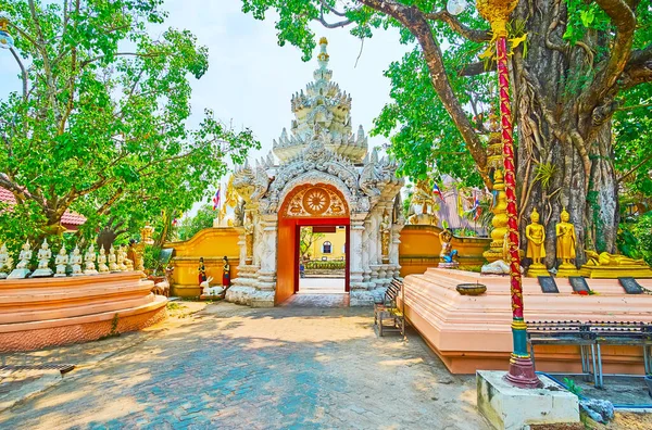 Posvátný Bodhi Tree Bílá Brána Chrámu Wat Phra Singh Zdobené — Stock fotografie