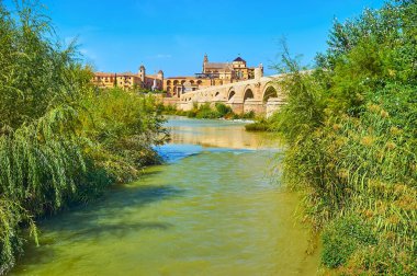 Roma Köprüsü 'nün yanındaki Guadalquivir Nehri kıyısındaki yeşil park, karşı kıyıdaki Mezquita-Katedral (Cami-Katedral) manzaralı, Cordoba, İspanya