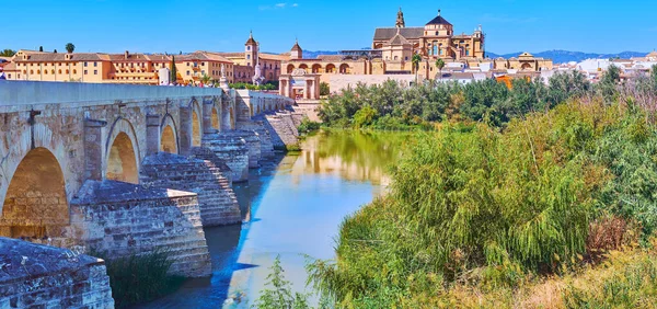 Iconic Cordoba Cityscape Antique Limestone Roman Bridge Greenery Guadalquivir River — Stock Photo, Image