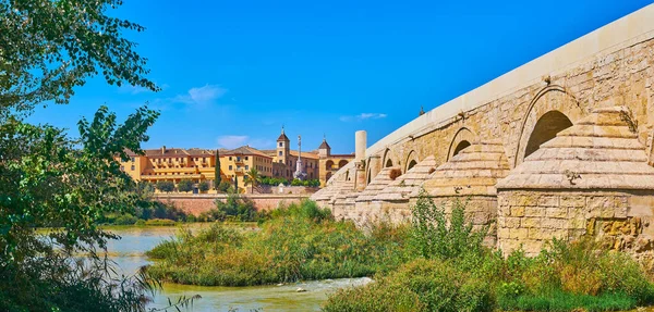 Guadalquivir Nehri Nin Yemyeşil Panoraması Antika Roma Köprüsü Karşı Kıyıdaki — Stok fotoğraf