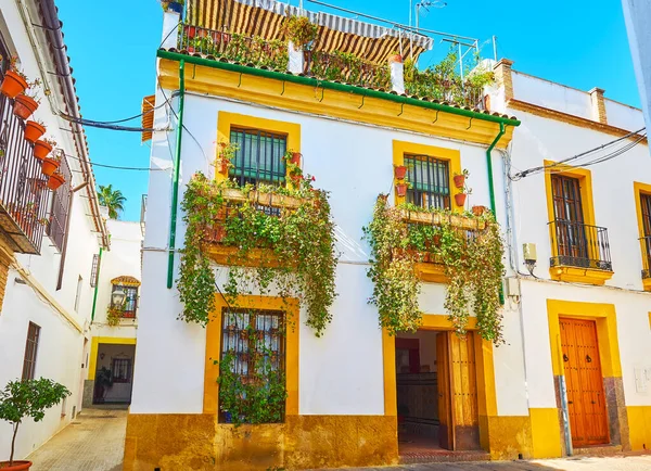 Scenic Historic House Julio Romero Torres Street Decorated Many Green — Stock Photo, Image
