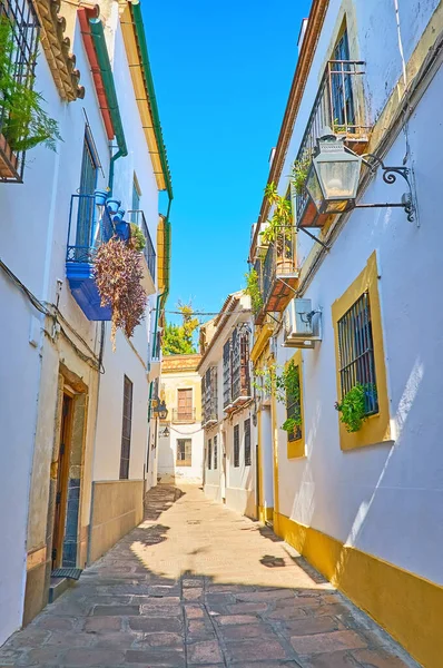 Caminar Explorar Los Barrios Históricos Del Casco Antiguo Con Casas —  Fotos de Stock