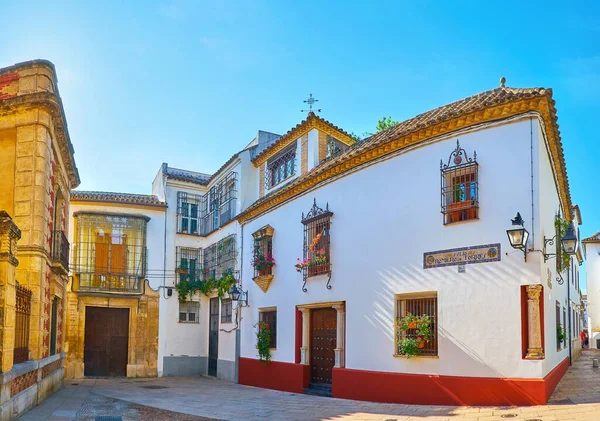 中世纪胡利奥 罗梅罗 托雷斯街 前称卡勒 德洛斯马斯卡隆街 的全景 在这里你可以看到风景秀丽的历史建筑 用盆栽装饰 西班牙科尔多瓦 — 图库照片