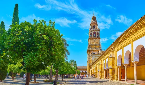 Cordoba España Sep 2019 Patio Naranjos Mezquita Catedral Con Vista —  Fotos de Stock