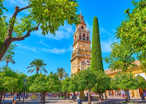 Cordoba Spagna Set 2019 Passeggiata Tra Gli Aranci Panoramici Della — Foto Stock