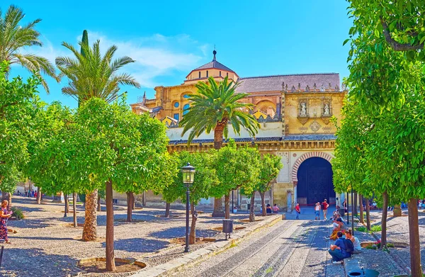 Cordoba Spain Sep 2019 Lush Garden Courtyard Oranges Scenic Medieval — Stock Photo, Image