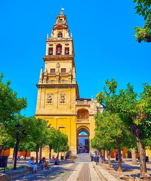 Cordoba Spain Sep 2019 Utsikten Över Det Medeltida Klocktornet Och — Stockfoto