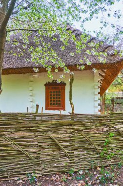 Beyazlatılmış ahşap pencereli ve çitlerin arkasındaki sazdan çitli hata evi, Mamajeva Sloboda Kazak Köyü Scansen, Kyiv, Ukrayna
