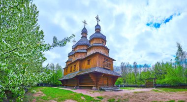 Etrafında çiçek açan meyve ağaçları, Mamajeva Sloboda Kazak Köyü, Kyiv, Ukrayna