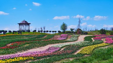 The tulip field with its bright colorful flowers is the perfect place for the day tour, Dobropark arboretum, Kyiv region, Ukraine