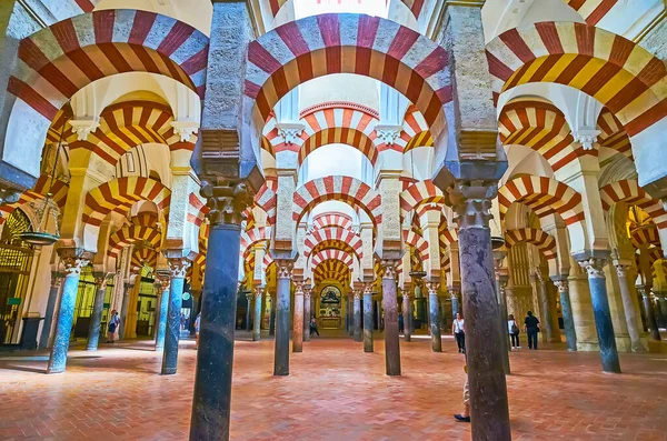 Cordoba Espagne Sep 2019 Explorez Impressionnante Salle Hypostyle Mezquita Catedral — Photo