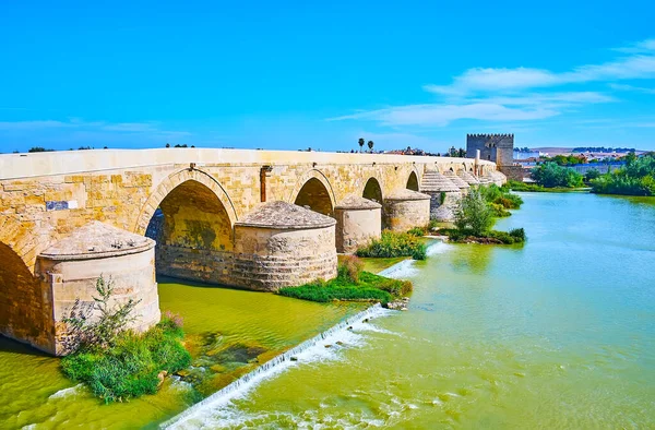 Antik Roma Köprüsü Manzaralı Guadalquivir Nehrinin Arka Planda Calahorra Kulesi — Stok fotoğraf