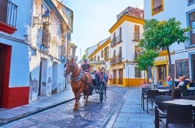 CORDOBA, SPAIN - 30 Eylül 2019: 30 Eylül 'de Cordoba' da ortaçağ yaşam evleriyle dolu eski dar Cardenal Gonzalez caddesinde at arabası gezintisi