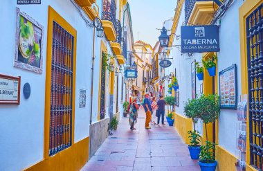CORDOBA, SPAIN - 30 Eylül 2019: 30 Eylül 'de Cordoba' da Juderia Yahudi Mahallesi 'nin dükkanları, kafeleri, restoranları ve saksıları olan Çeyrek Çeyreği