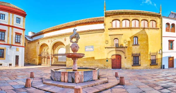 Panorama Des Herrlichen Historischen Plaza Del Potro Mit Dem Steinernen — Stockfoto