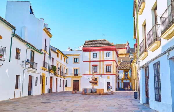 Las Casas Históricas Blancas Alrededor Pequeña Fuente Piedra Del Potro —  Fotos de Stock