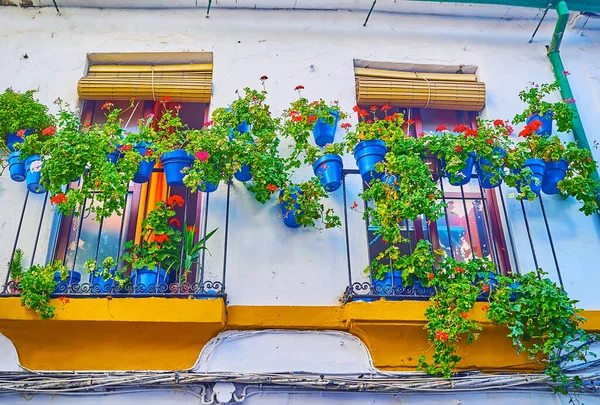 Saksıdaki çiçekler Cordovan Patios, Zapateria Vieja sokağı, Cordoba, İspanya için geleneksel dekorlar.