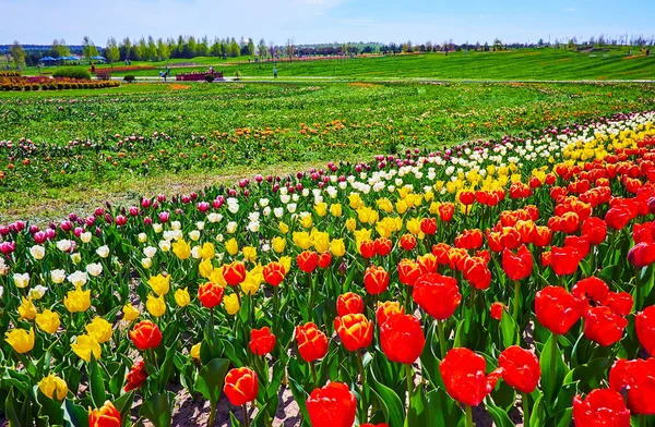 Die Landschaft Des Dobropark Arboretums Mit Blick Auf Die Bunten — Stockfoto