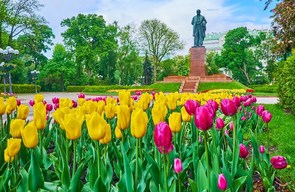 Callejón Taras Shevchenko Park Bordeado Florecientes Macizos Flores Tulipán Arbustos —  Fotos de Stock