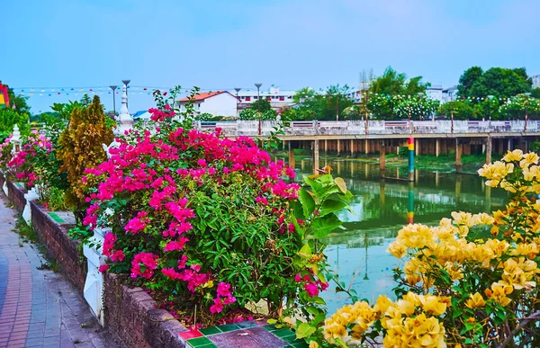 Brillante Colorida Flor Buganvillas Extiende Por Orilla Del Río Wang — Foto de Stock