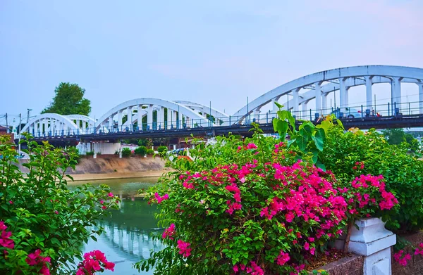 Wang Nehri Nin Karşısındaki Beyaz Ratsadaphisek Köprüsü Pırıl Pırıl Begonvillerin — Stok fotoğraf