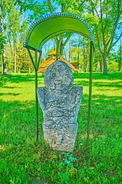 Rzeźbione Kamienne Stele Kurgańskie Trawniku Pereiaslav Scansen Ukraina — Zdjęcie stockowe