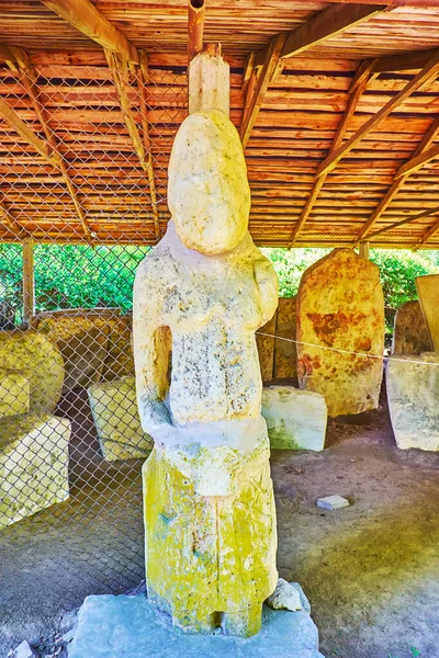 Las Antiguas Ruinas Piedra Kurgan Stelae Estatua Antropomórfica Situado Pereiaslav — Foto de Stock