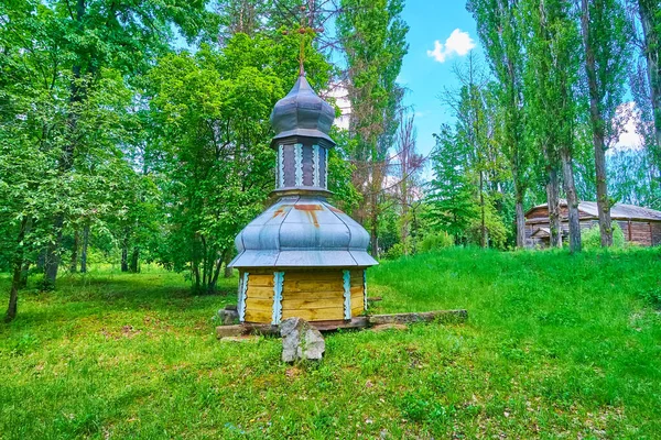 Detalle Antigua Cúpula Iglesia Madera Césped Pereiaslav Scansen Pereiaslav Ucrania — Foto de Stock