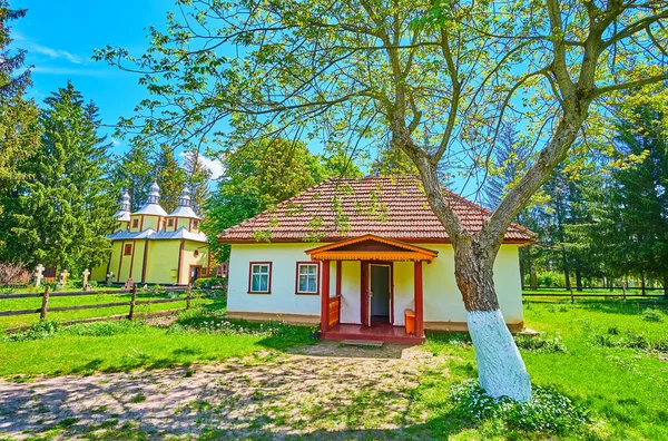 Árbol Extendido Alto Jardín Casa Del Sacerdote Ubicado Pereiaslav Scansen — Foto de Stock
