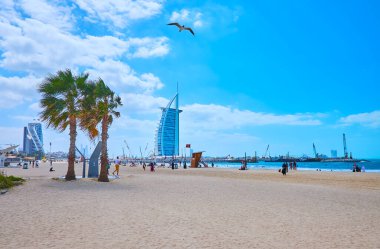 The sandy Public beach with lush palm trees and a view on Burj Al Arab and Jumeirah Beach luxury hotels, Dubai, UAE