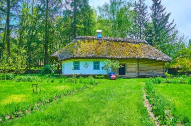 PEREIASLAV, UKRAINE - 22 Mayıs 2021: Pereiaslav Scansen, 22 Mayıs 'ta Pereiaslav' da beyazlatılmış duvarda çiçek desenleriyle süslenmiş köy hata evinin cephesi