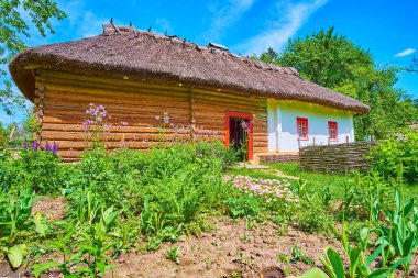 PEREIASLAV, UKRAINE - 22 Mayıs 2021: 22 Mayıs 'ta Pereiaslav Scansen' de sazdan çatılı ahşap hata evinde çiçekli bir bahçe