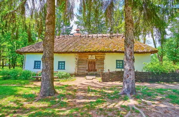 Pereiaslav Ukraine Mai 2021 Façade Maison Historique Gouvernement Village Pereiaslav — Photo