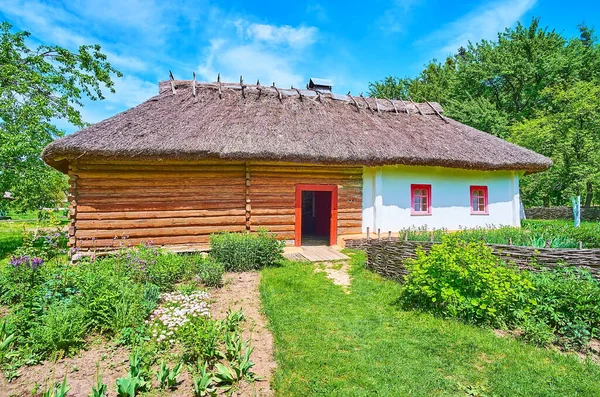 Pereiaslav Ukraine Mai 2021 Jardin Fleuri Pelouse Devant Maison Bois — Photo