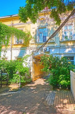 Çiçekli güllerle süslenmiş küçük bir bahçe, Odessa, Ukrayna