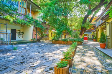 Eski Odessa bahçesi, Ukrayna 'nın gölgeli ağaçları olan yeşil bir bahçeyle süslenmiş küçük yaşam evleriyle dolu.