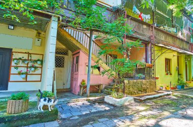 Yeşil bitkilerin, terasların, saksıların ve yerel kedilerin, Odessa, Ukrayna 'nın bulunduğu tipik eski bahçeyi ziyaret edin.