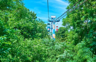 Ukrayna 'nın yemyeşil ormanları arasında Odessa teleferiğinin renkli kamaraları ve kulesi.